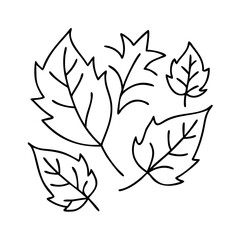autumn leaves icon, autumn leaves vector illustration-simple illustration of autumn leaves, perfect for autumn leaves logos and icons