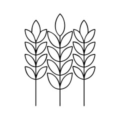barley icon, barley vector illustration-simple illustration of barley, perfect for barley logos and icons