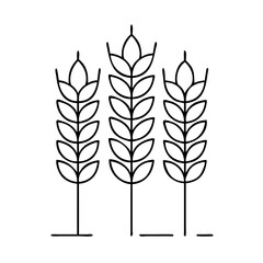 barley icon, barley vector illustration-simple illustration of barley, perfect for barley logos and icons