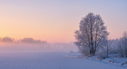 Obraz premium Winter landscape with frosty tree against a colorful sunrise 