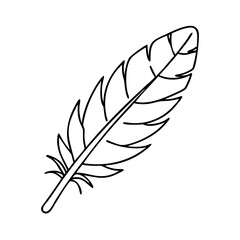 Obraz premium birds feather icon, birds feather vector illustration-simple illustration of birds feather, perfect for birds feather logos and icons