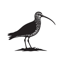 Curlew Silhouette - Minimalist Curlew Vector - Curlew Illustration - Black and White Curlew Bird Design.