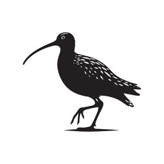 Curlew Silhouette - Minimalist Curlew Vector - Curlew Illustration - Black and White Curlew Bird Design.