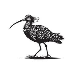 Curlew Silhouette - Minimalist Curlew Vector - Curlew Illustration - Black and White Curlew Bird Design.