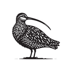 Curlew Silhouette - Minimalist Curlew Vector - Curlew Illustration - Black and White Curlew Bird Design.