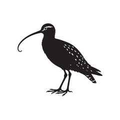 Curlew Silhouette - Minimalist Curlew Vector - Curlew Illustration - Black and White Curlew Bird Design.