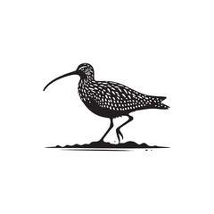 Curlew Silhouette - Minimalist Curlew Vector - Curlew Illustration - Black and White Curlew Bird Design.
