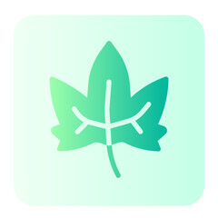 Maple Leaf gradient icon