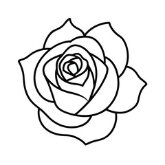 Rose flower black outline simple elegant design for coloring pages and botanical illustrations