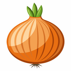 Onion isolated  on white background 