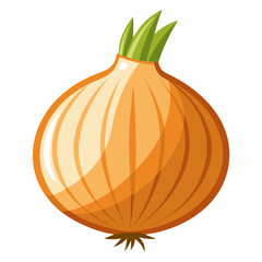 Onion isolated  on white background 