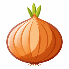Onion isolated  on white background 