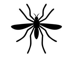 black Mosquito isolated on white background