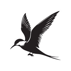Common tern minimal Silhouette - Common tern Vector - Illustration of Common tern.