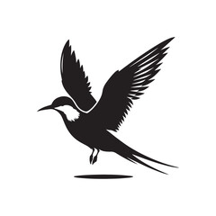 Common tern minimal Silhouette - Common tern Vector - Illustration of Common tern.