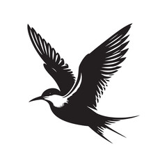 Obraz premium Common tern minimal Silhouette - Common tern Vector - Illustration of Common tern.