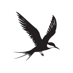 Common tern minimal Silhouette - Common tern Vector - Illustration of Common tern.