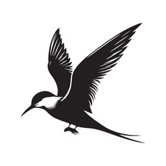 Common tern minimal Silhouette - Common tern Vector - Illustration of Common tern.