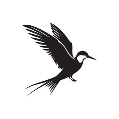 Common tern minimal Silhouette - Common tern Vector - Illustration of Common tern.