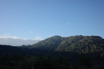 Lush green mountain bathed in morning light under a vast blue sky, showcasing the serene beauty of untouched tropical wilderness. Ideal for travel, nature, eco-tourism, and environmental themes.