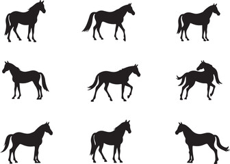 Horse Silhouette Vector | Galloping Horse Clipart SVG PNG

Running Horse SVG | Wild Horse Silhouette Vector for Cricut

Elegant Horse Outline | Equestrian Clipart Digital Download

Horse Vector Art | 