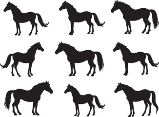 Horse Silhouette Vector | Galloping Horse Clipart SVG PNG

Running Horse SVG | Wild Horse Silhouette Vector for Cricut

Elegant Horse Outline | Equestrian Clipart Digital Download

Horse Vector Art | 
