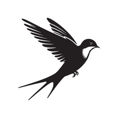 Common swift Bird Vector Silhouette - Common swift Design - Black and White Common swift Illustration.