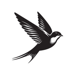 Common swift Bird Vector Silhouette - Common swift Design - Black and White Common swift Illustration.