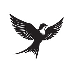 Common swift Bird Vector Silhouette - Common swift Design - Black and White Common swift Illustration.