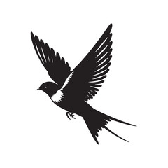 Obraz premium Common swift Bird Vector Silhouette - Common swift Design - Black and White Common swift Illustration.