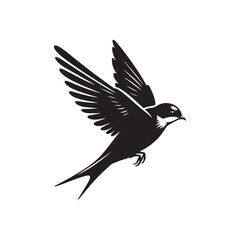 Obraz premium Common swift Bird Vector Silhouette - Common swift Design - Black and White Common swift Illustration.