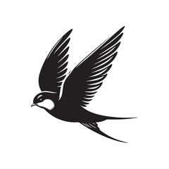 Common swift Bird Vector Silhouette - Common swift Design - Black and White Common swift Illustration.