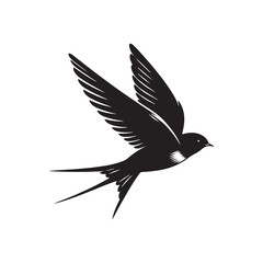 Obraz premium Common swift Bird Vector Silhouette - Common swift Design - Black and White Common swift Illustration.