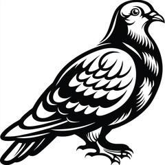 Elegant Pigeon Icon, Dove Silhouette with Detailed Feathers in Black and White Style