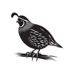 Common Quail Vector - Common Quail Silhouette - Minimalist Common Quail Illustration.