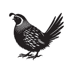 Fototapeta premium Common Quail Vector - Common Quail Silhouette - Minimalist Common Quail Illustration.