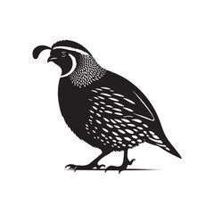 Common Quail Vector - Common Quail Silhouette - Minimalist Common Quail Illustration.
