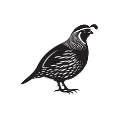 Common Quail Vector - Common Quail Silhouette - Minimalist Common Quail Illustration.