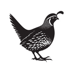 Common Quail Vector - Common Quail Silhouette - Minimalist Common Quail Illustration.