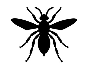 vector illustration of a Wasp