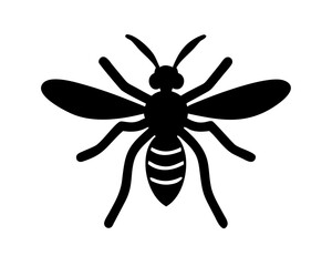 vector illustration of a Wasp