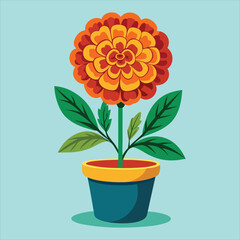Marigold flower vector.