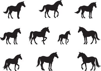 Horse Silhouette Vector | Galloping Horse Clipart SVG PNG

Running Horse SVG | Wild Horse Silhouette Vector for Cricut

Elegant Horse Outline | Equestrian Clipart Digital Download

Horse Vector Art | 