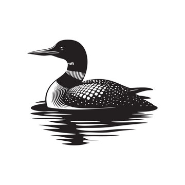 Silhouette of Common loon - Common loon bird Illustration - Common loon bird vector - Black and White Common loon Design.