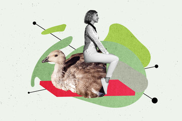 Contemporary image art collage of happy girl sit bird care animal farmer goose duck flight...