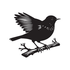 Minimalist Common blackbird Silhouette - Common blackbird Vector - Illustration of Common blackbird - Common blackbird Art.