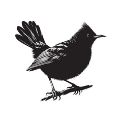 Minimalist Common blackbird Silhouette - Common blackbird Vector - Illustration of Common blackbird - Common blackbird Art.
