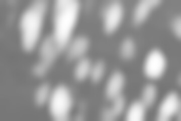Leaves shadow overlay, isolated Branches leaves,Blurry abstract light effect overlay on white background