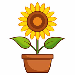 Obraz premium sunflower on a white background