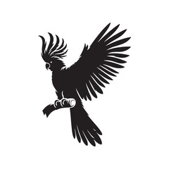 Cockatoo Minimal Vector - Cockatoo Silhouette - Illustration of Cockatoo - Black and White Cockatoo Art.